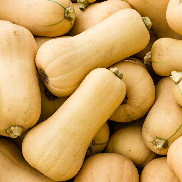 Comment Couper et Peler Facilement une Courge Butternut Le Guide Pratique (et 10 Recettes !) Grâce à cette Méthode