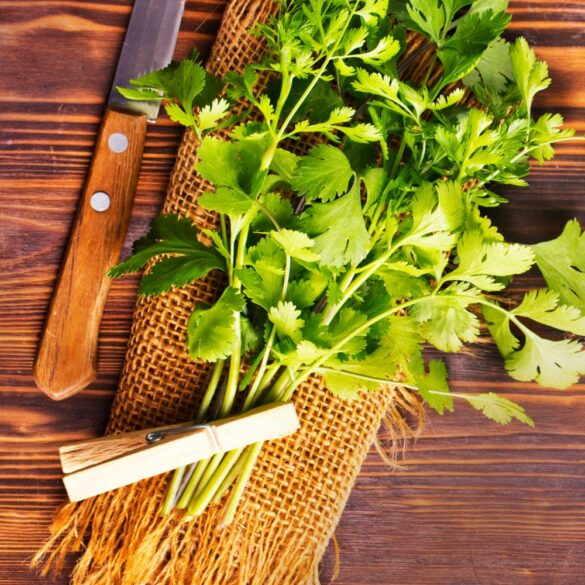 Comment utiliser la coriandre en cuisine