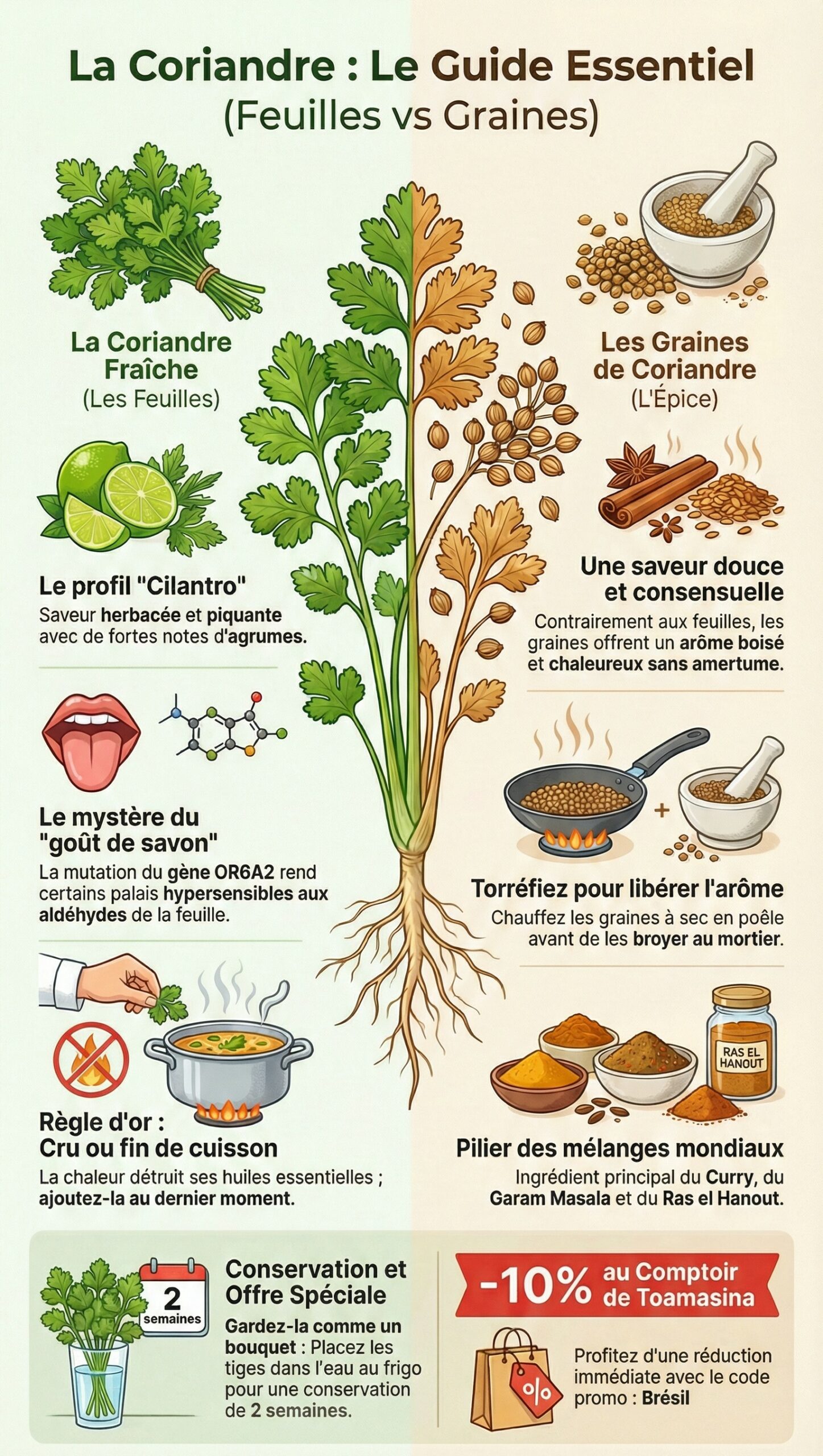 La Coriandre sous Toutes ses Formes 45 Recettes Délicieusement Parfumées et Astuces pour Sublimer vos Cuisines