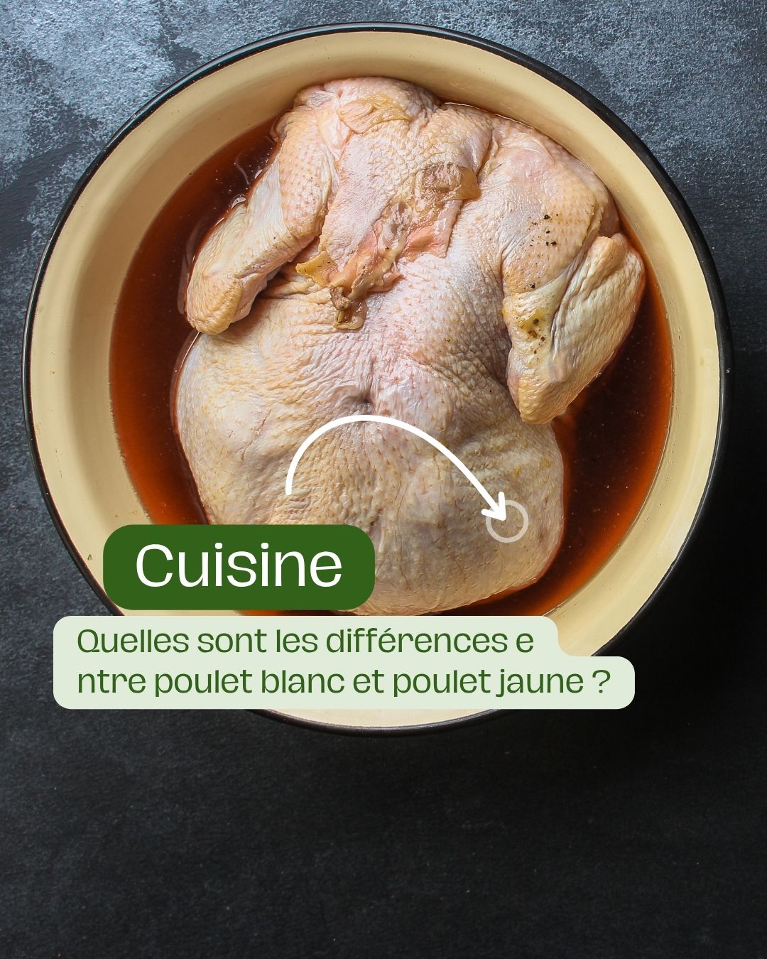 Quelles sont les différences entre poulet blanc et poulet jaune 