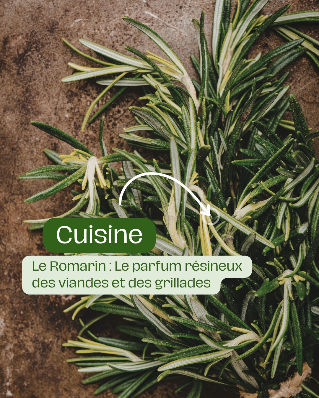 Le Romarin Le parfum résineux des viandes et des grillades