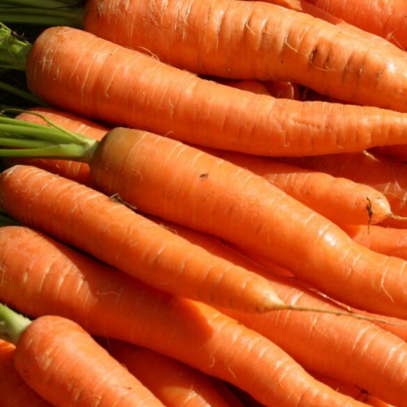 Le secret des Carottes Nouvelles Glacées façon Joël Robuchon L'art du glaçage au beurre et au miel !