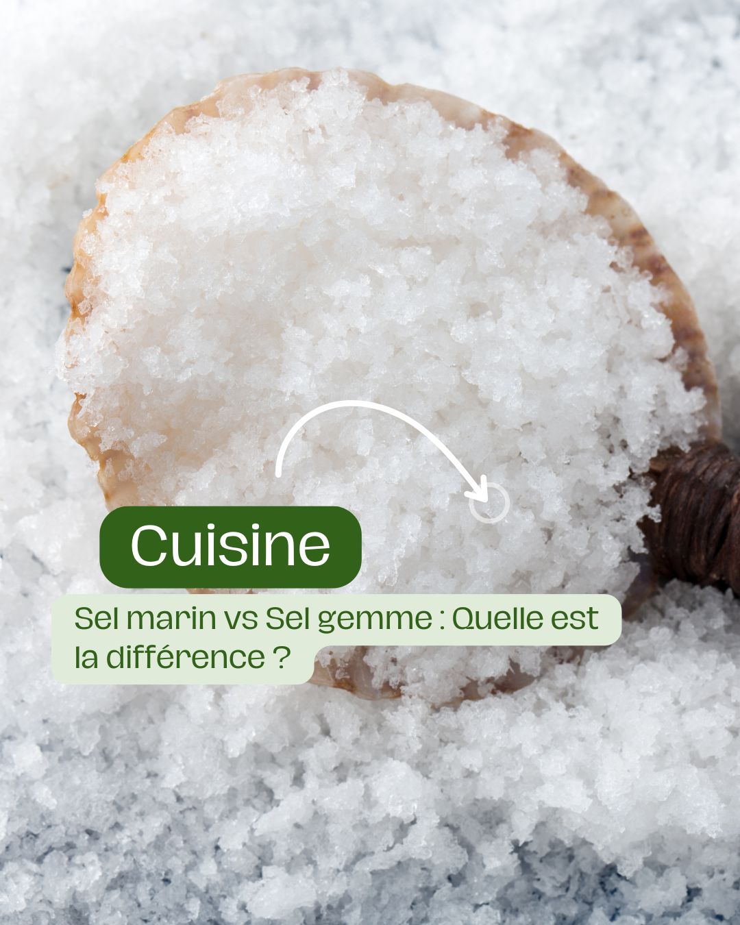 Sel marin vs Sel gemme Quelle est la différence