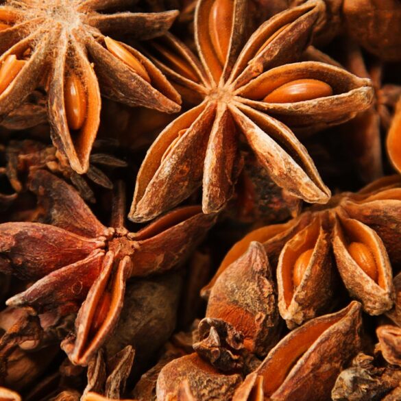 Badiane — anis étoilé origine, usages en cuisine et dosage