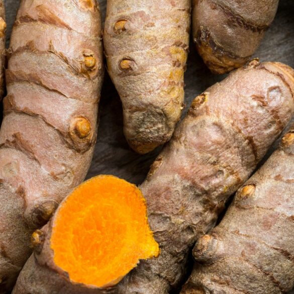 Curcuma bienfaits en  été contre l'inflammation solaire et les coups de chaleur