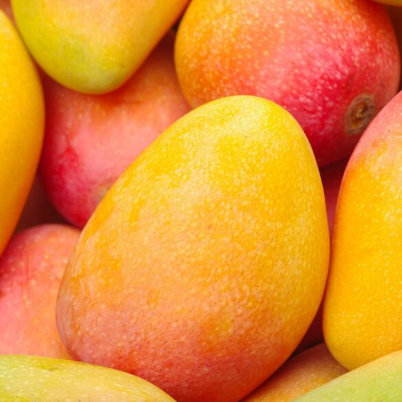 Mangue calories, bienfaits et idées de smoothies d'été