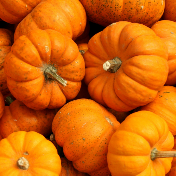 Tout savoir sur le potimarron En cuisine
