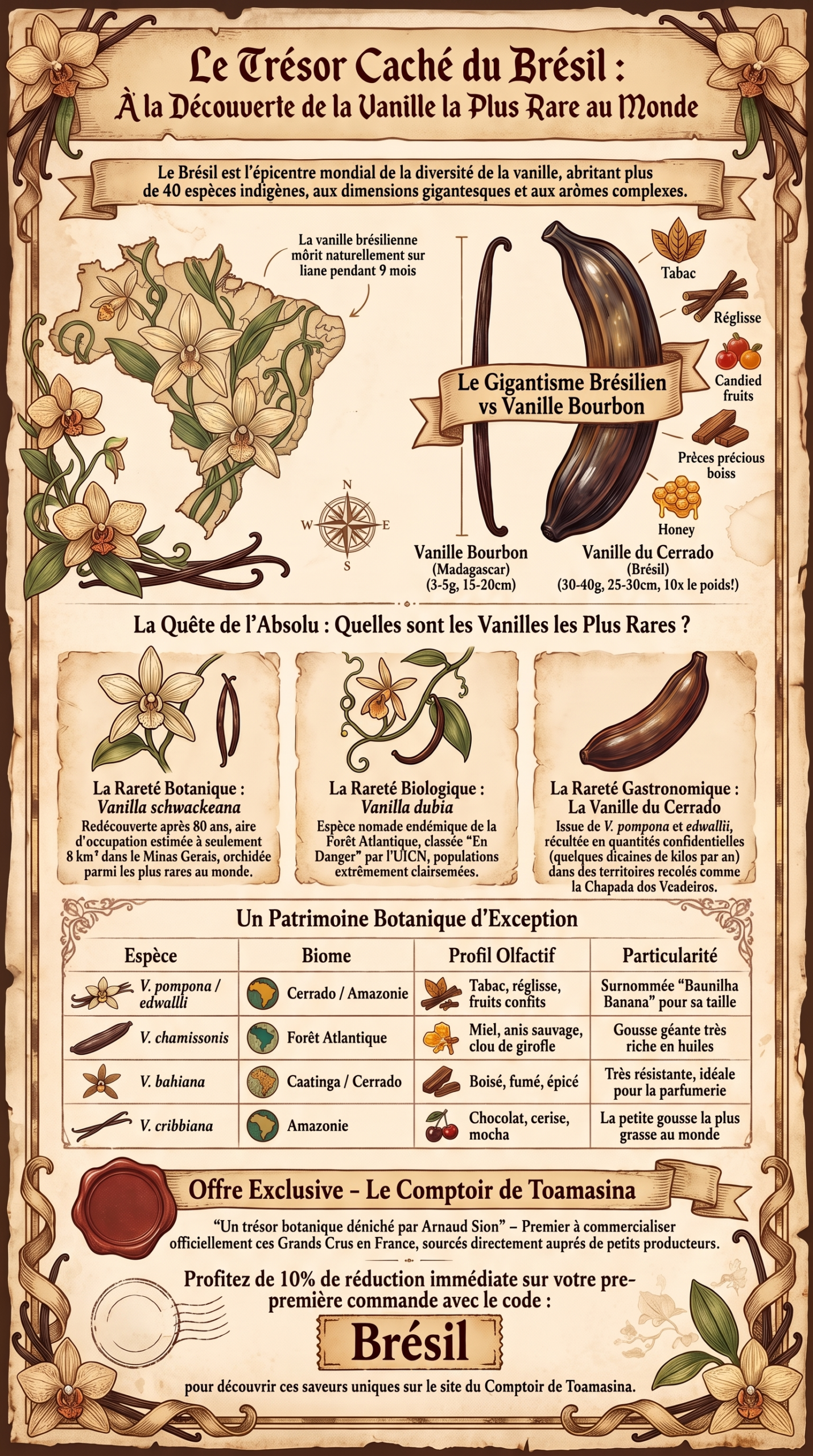 La vanille rare du Brésil