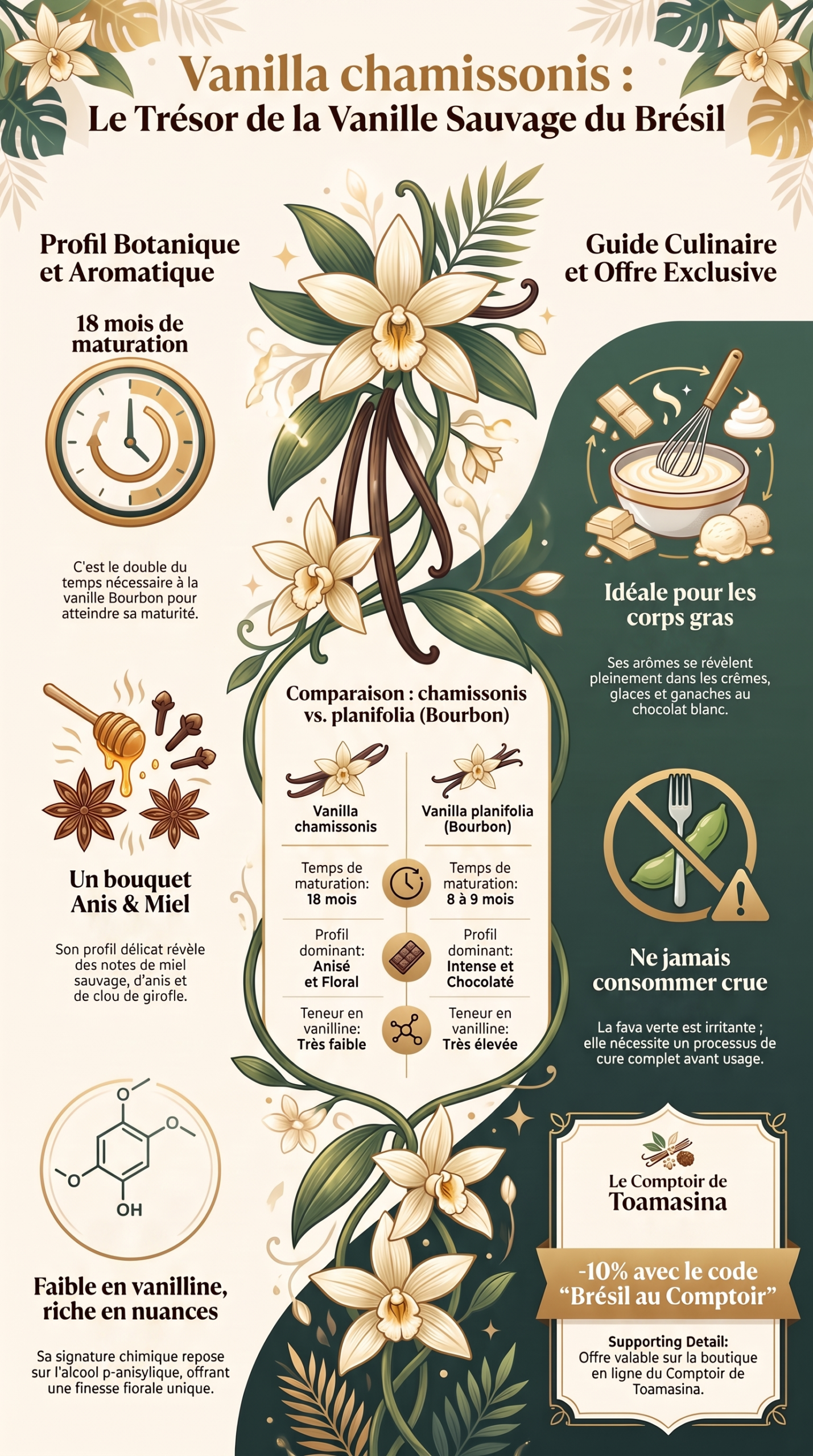 Vanilla chamissonis, vanille native du Brésil