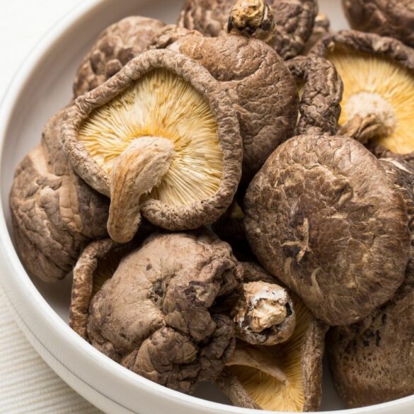Comment déshydrater les champignons : four, déshydrateur ou air libre
