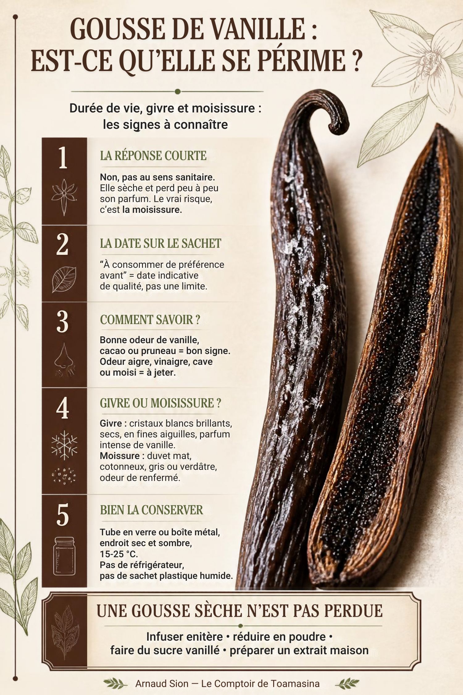 Infographie : comment conserver les gousses de vanille et savoir si elles sont encore bonnes