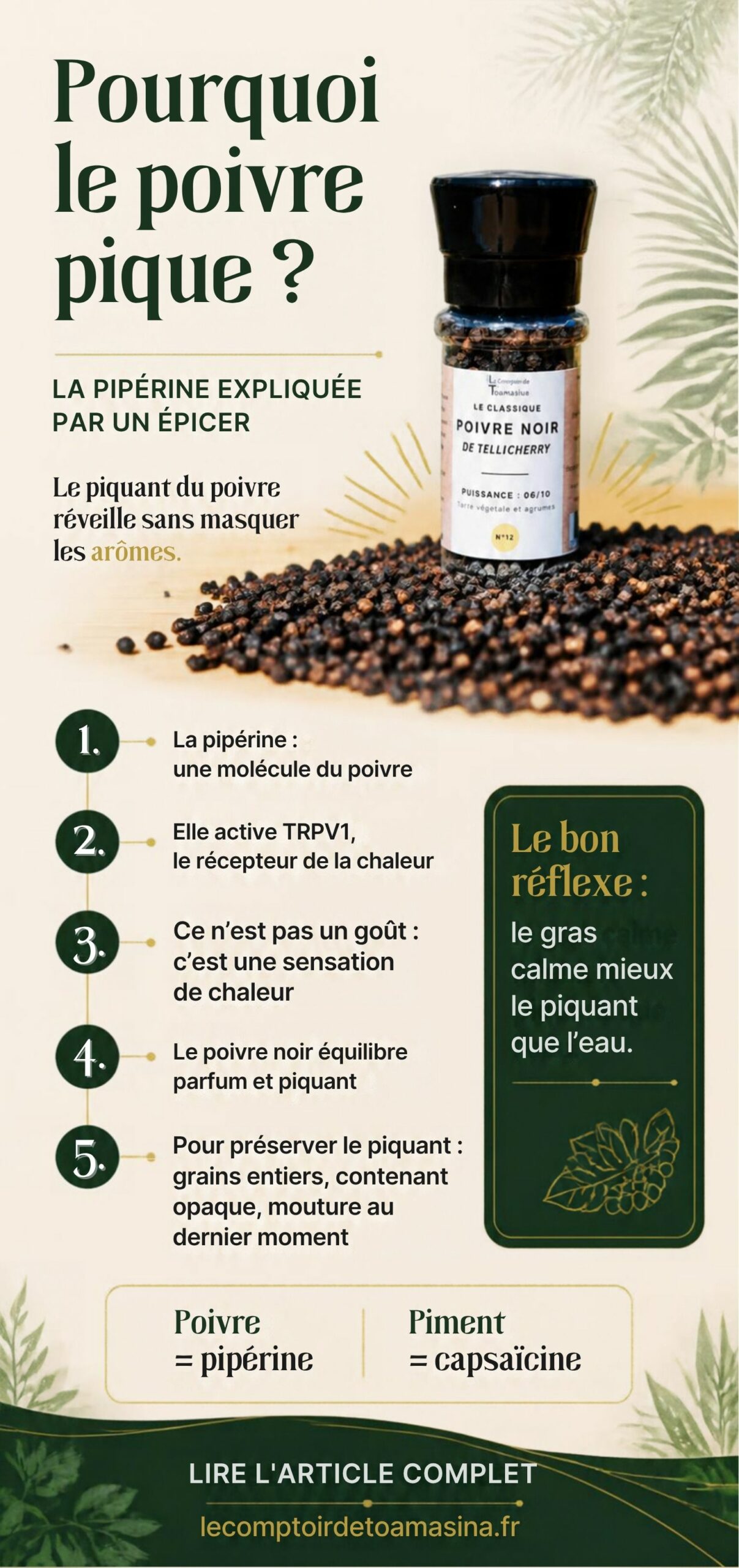 Infographie : pourquoi le poivre pique, la pipérine et son effet en bouche